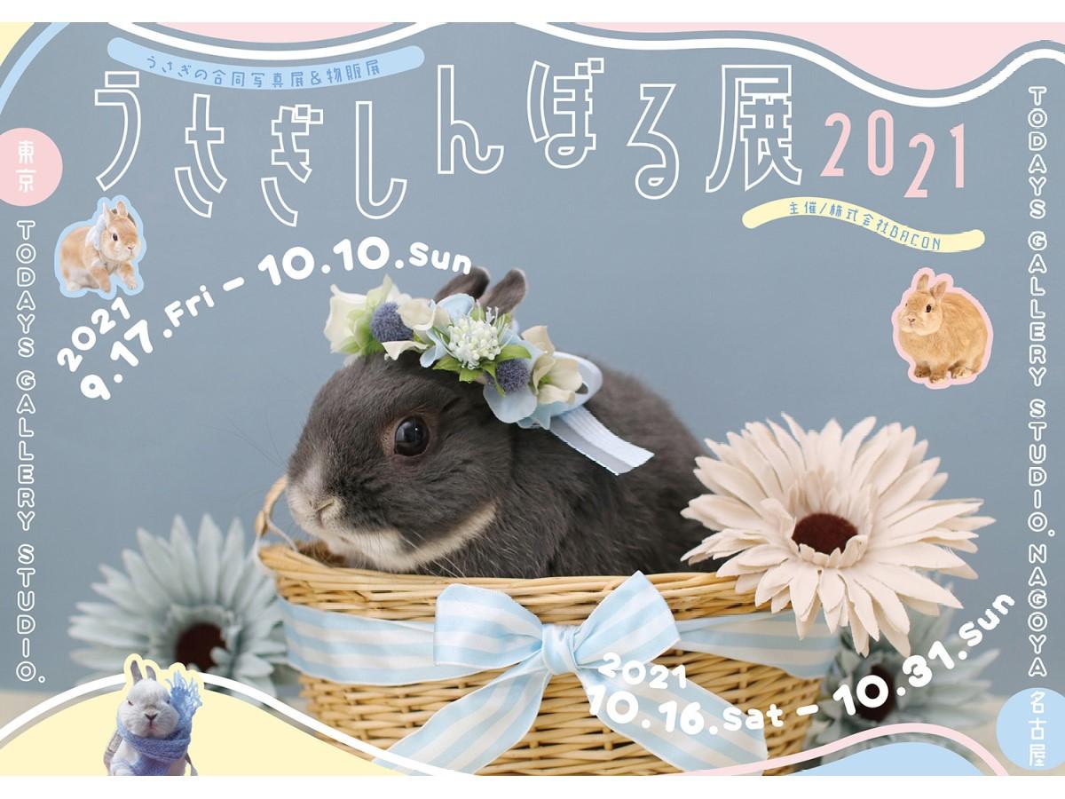 うさぎしんぼる展