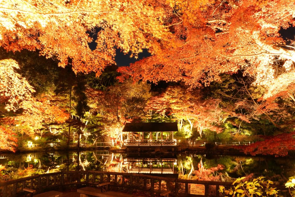 東山動植物園もみじ狩り