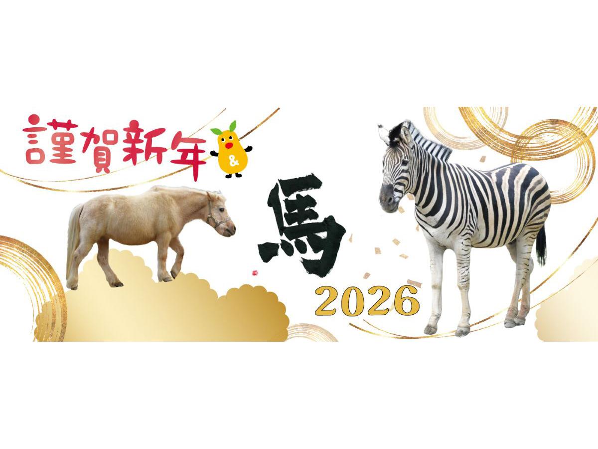 東山動植物園「年末年始もひがしやま」