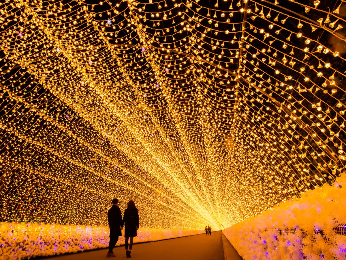 나바나노사토 일루미네이션 “지판구”