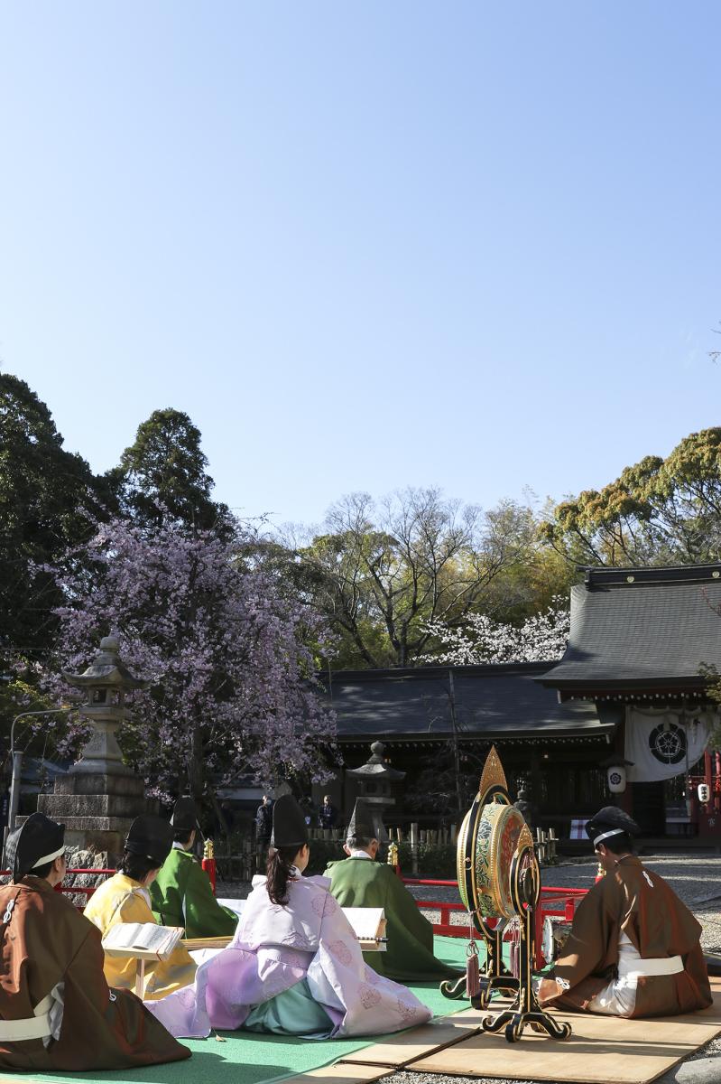 富部神社観桜祭⑦
