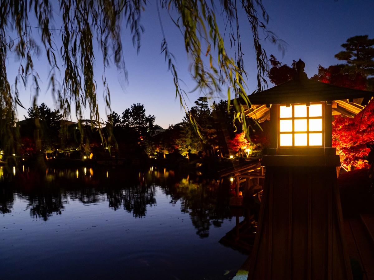 徳川園 夜間開園 公式 名古屋市観光情報 名古屋コンシェルジュ 徳川園 夜間開園 公式 名古屋市観光情報 名古屋コンシェルジュ