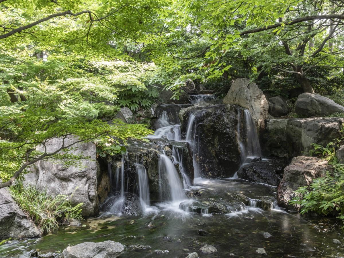 白鳥庭園　春浪漫