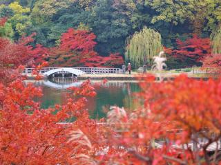錦を纏う　徳川園紅葉祭