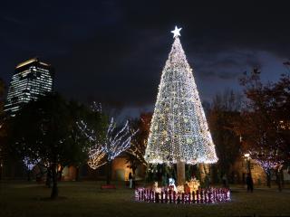 ノリタケの森　クリスマスガーデン
