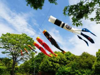 白鳥庭園　夢こいのぼり