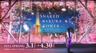 中部電力 MIRAI TOWER「夜間限定 NAKED SAKURA TOWER 2024」