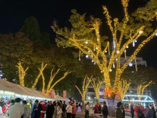池田公園イルミネーション