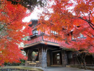 紅葉を楽しむ会 2021秋 in 揚輝荘