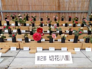 第52回 名古屋城つばき展