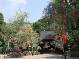 富部神社 七夕祭