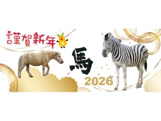 東山動植物園「年末年始もひがしやま」