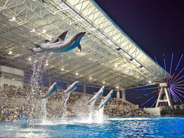 名古屋港水族館　ナイトアクアリウムの様子1