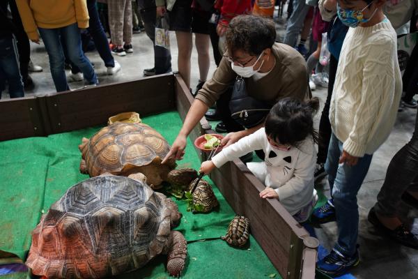 ナゴヤレプタイルズワールド