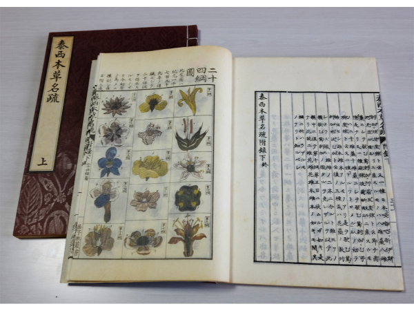 尾張・本草学者達の茶会