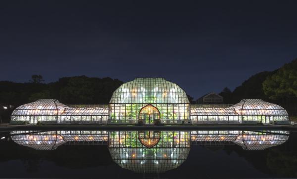 温室前館 ライトアップ