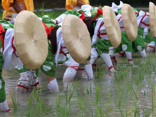 大高斎田御田植祭