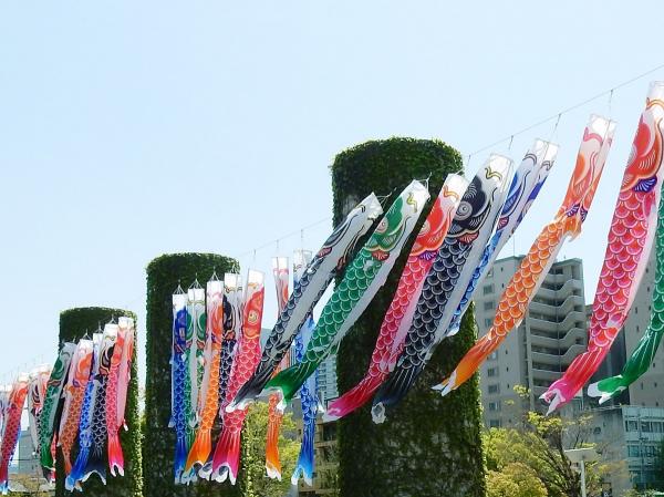 Carp streamers at Noritake Forest
