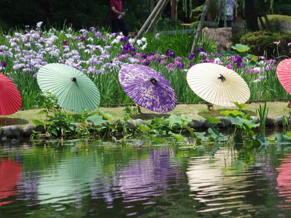 雨を聴く　徳川園の和傘の画像