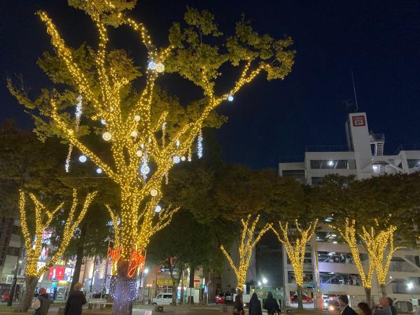 池田公園イルミネーション