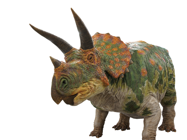 特別展「ティラノサウルス展~ T.rex 驚異の肉食恐竜~」