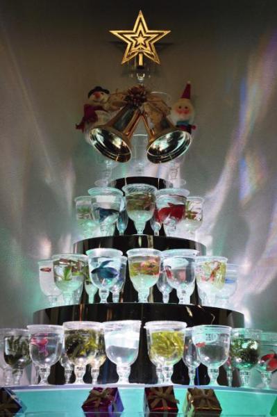  名古屋港水族館　クリスマス企画展示「アクアリウムグラスツリー」
