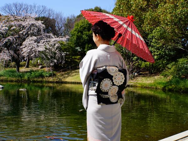 Shirotori Garden Cherry Blossom Viewing Event