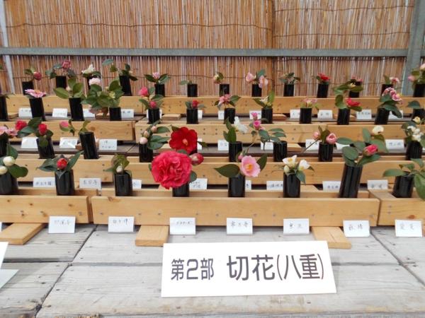 第52回 名古屋城つばき展