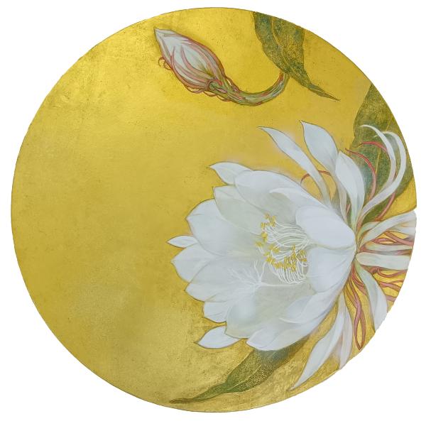 山本眞希「月下美人」2025年