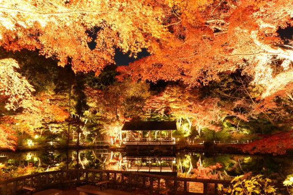 東山動植物園もみじ狩り