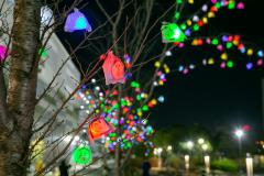 포트 어클스 2025 윈터 아트 이벤트 ~스마일 트리 프로젝트~