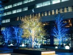 Chiếu sáng mùa đông tháp Nagoya Lucent