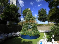 Đèn chiếu sáng Giáng sinh Dai Nagoya “Giáng sinh huyền diệu Harry Potter”