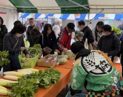 久屋大通公园的名古屋赛马场 2026