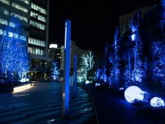 Chiếu sáng mùa đông tháp Nagoya Lucent