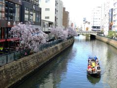 Spring Nagoya Horikawa Cruise