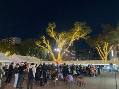 อิลลูมิเนชั่นสวนอิเคดะ