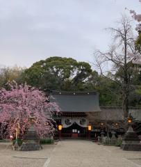 富部神社 Chigo Parade
