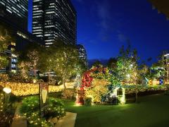 Đèn chiếu sáng Giáng sinh Dai Nagoya “Giáng sinh huyền diệu Harry Potter”