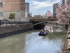 Spring Nagoya Horikawa Cruise