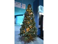 Sự kiện thủy cung Giáng sinh Công cộng Cảng Nagoya