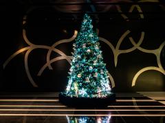 Chiếu sáng mùa đông tháp Nagoya Lucent