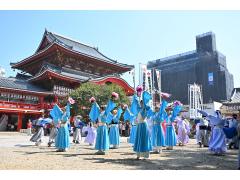 にっぽんど真ん中祭り
