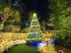 Đèn chiếu sáng Giáng sinh Dai Nagoya “Giáng sinh huyền diệu Harry Potter”