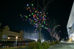 포트 어클스 2025 윈터 아트 이벤트 ~스마일 트리 프로젝트~