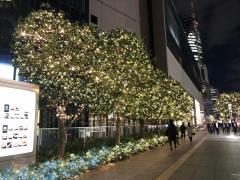 미들랜드 크리스마스 2025