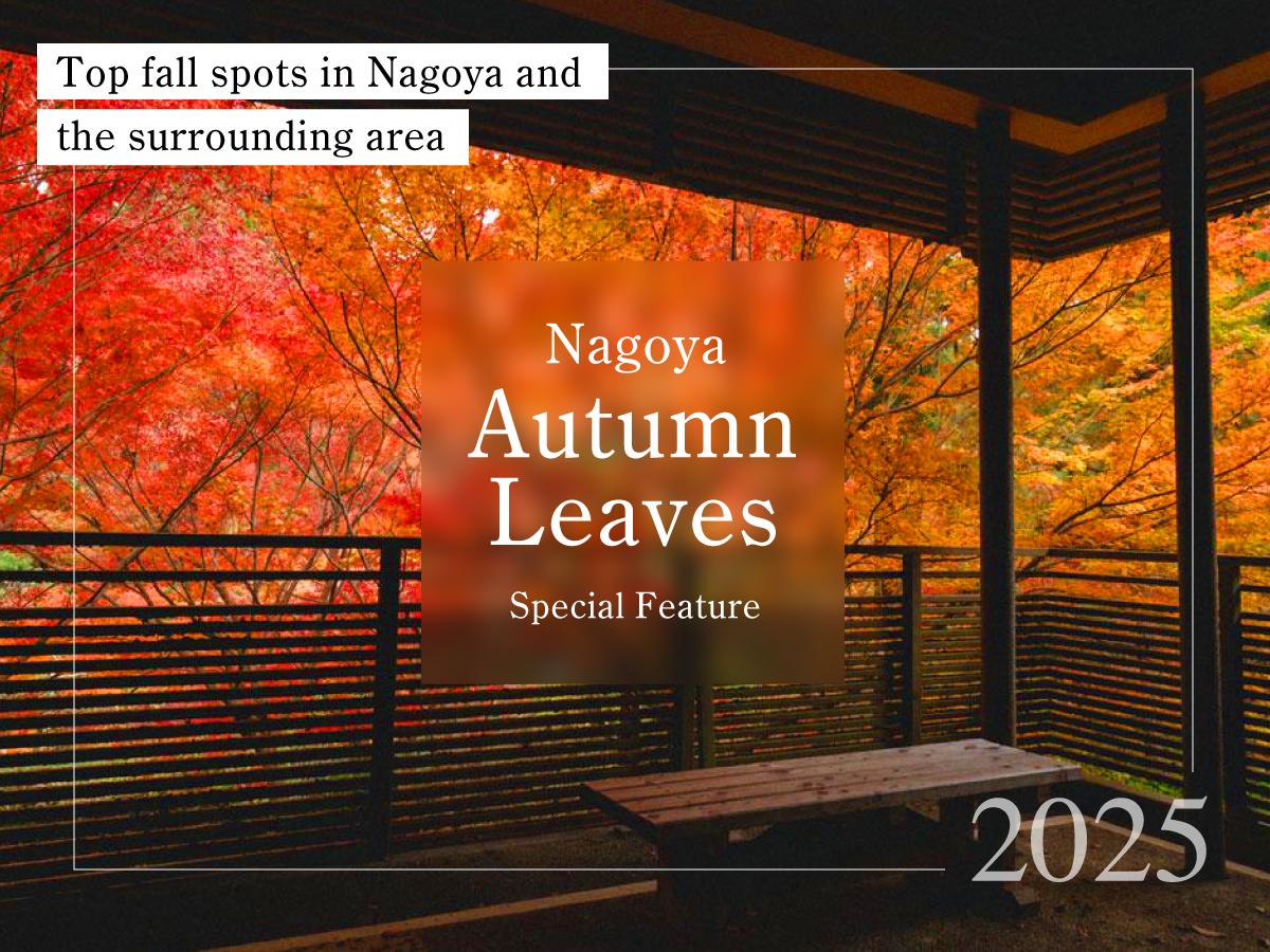 Nagoya autumn leaves