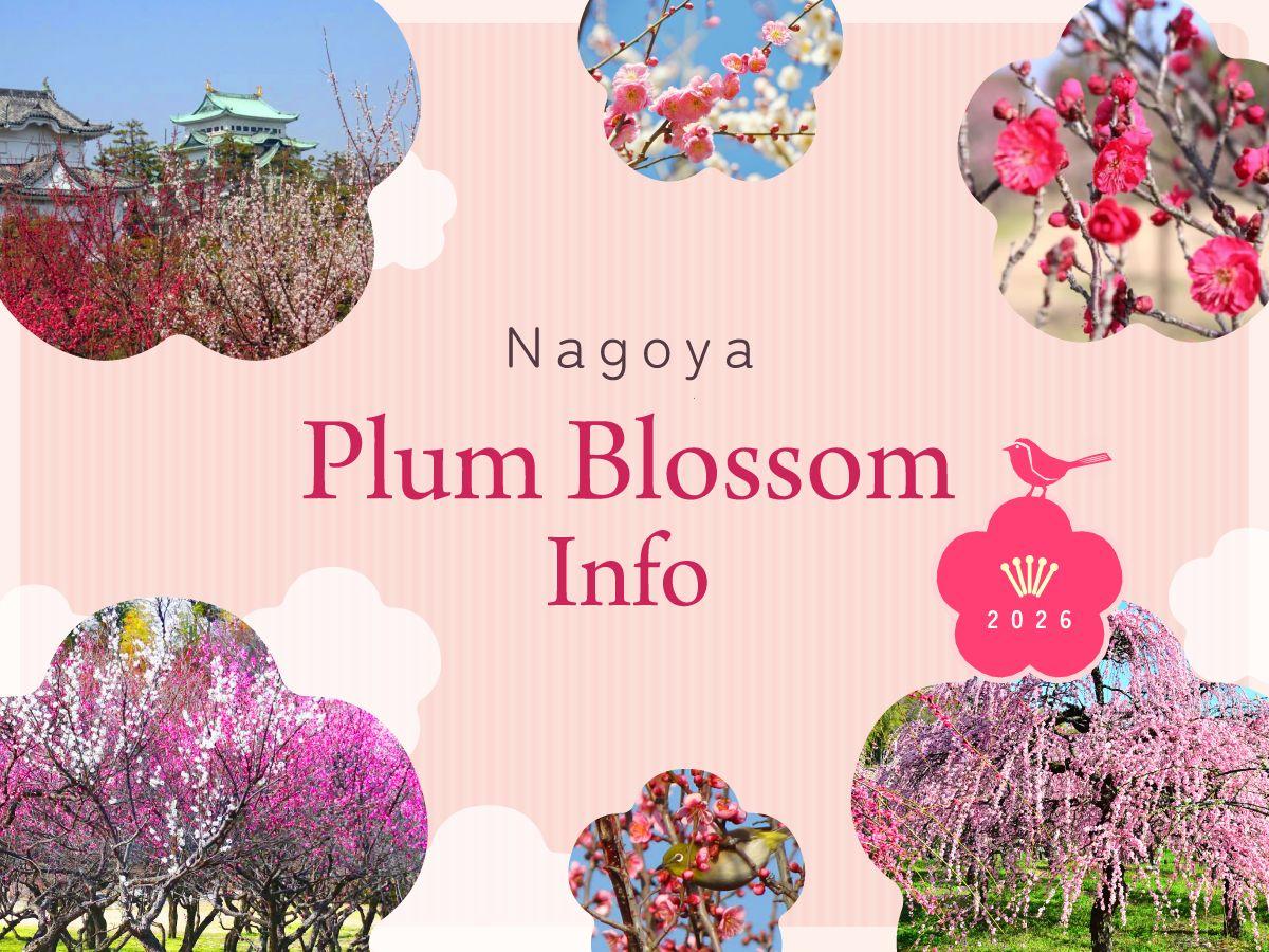 Plum Blossom Information