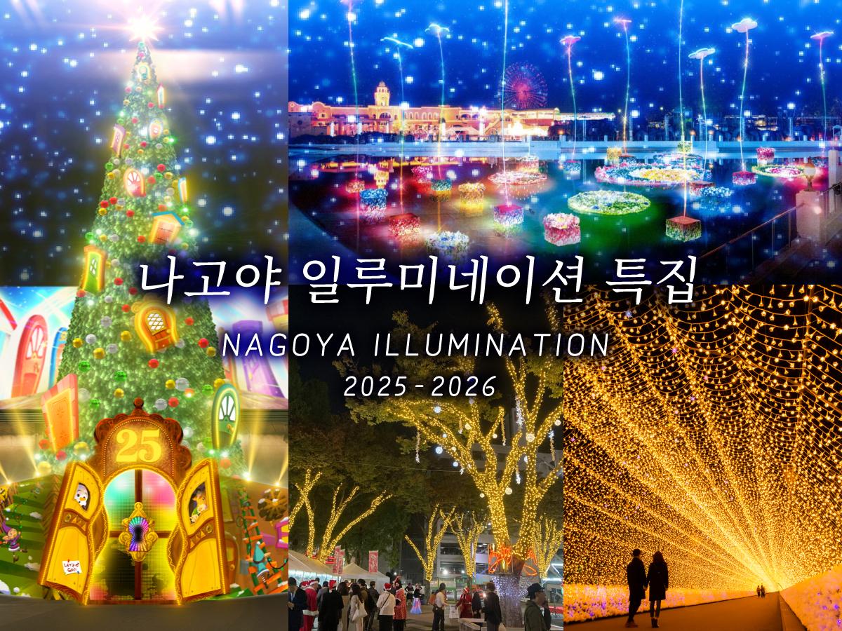 나고야 일루미네이션 특집 2024-2025