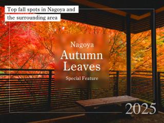 Nagoya autumn leaves
